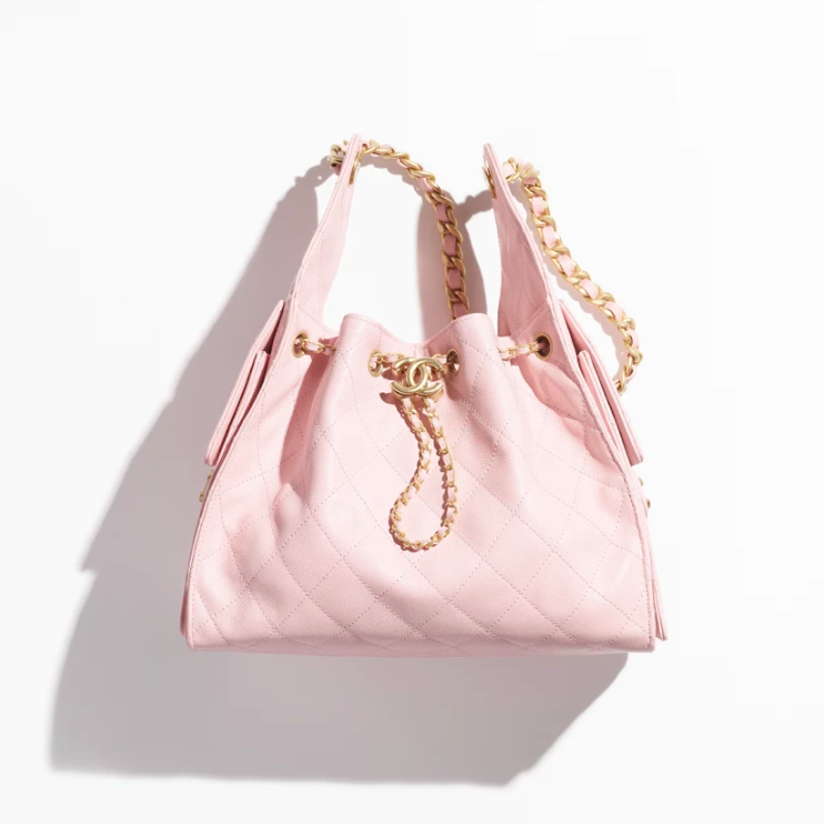 CHANEL 25 Small Handbag